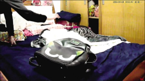 愛(ài)貓受傷女主人安裝監(jiān)控“抓”兇手貓咪猝亡 原來(lái)是被男室友虐打致死